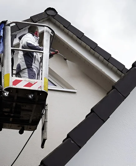 Salva Multiservices Entreprise De Renovation Mulhouse Ravalement Nettoyage Facades Et Toitures 1